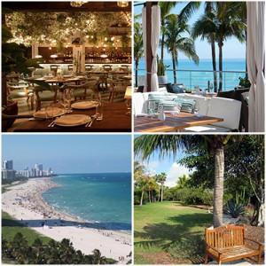 Dating Miami Style Miami dating