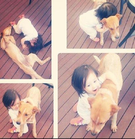 A New Home For Our Dog