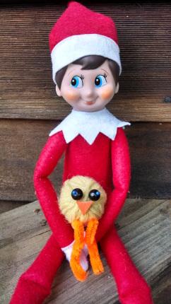 Lesson 907 – Elf in a Coop – Carol the Christmas Chicken - Paperblog