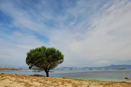 Four Things To Do in the Mar Menor Lagoon