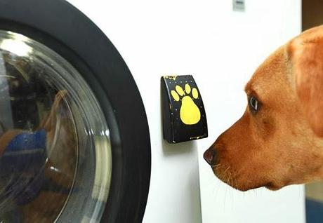 BEHOLD: World's 1st Washing Machine Run by a DOG!