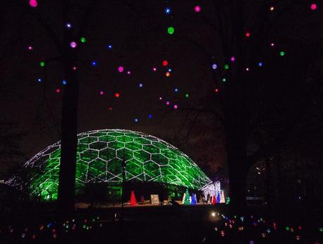 The Climatron at the Missouri Botanical Garden, lit up for Garden Glow with Christmas lights