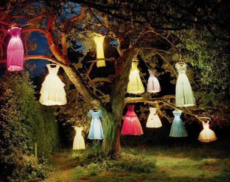 tim walker