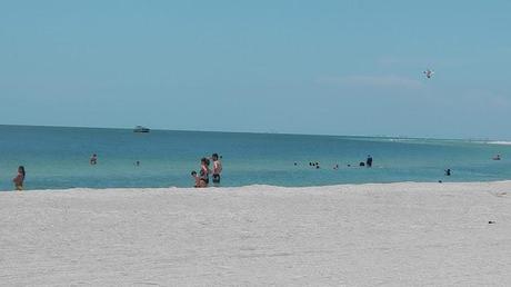 Fun in Florida! St Petesburg, Sarasota and Kayaking!