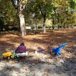 The Public Gardens of Modena – Giardini Estense