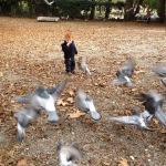 The Public Gardens of Modena – Giardini Estense The Public Gardens of Modena – Giardini Estense