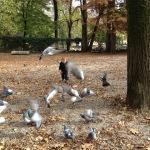 The Public Gardens of Modena – Giardini Estense The Public Gardens of Modena – Giardini Estense