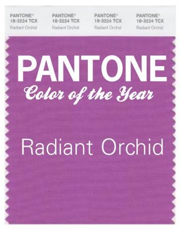 Pantone Color of the Year Radiant Orchid 