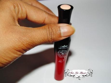 Dupe-Fake-Bourjois Lipgloss aka Lip Paint Review,Swatches,On my Lips