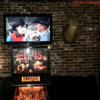 Rock N Horse Elvis Pinball and 8 Seconds