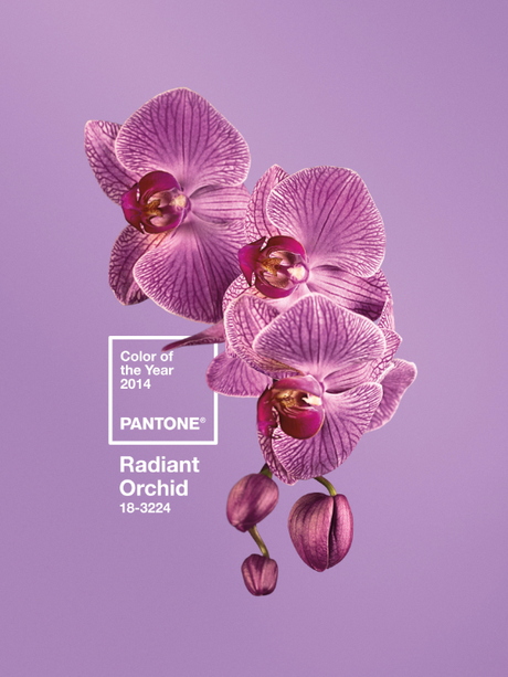 Color of the Year for 2014: PANTONE 18-3224 Radiant Orchid