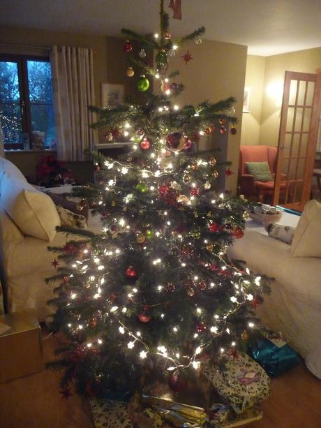 The Christmas ritual - selecting my tree