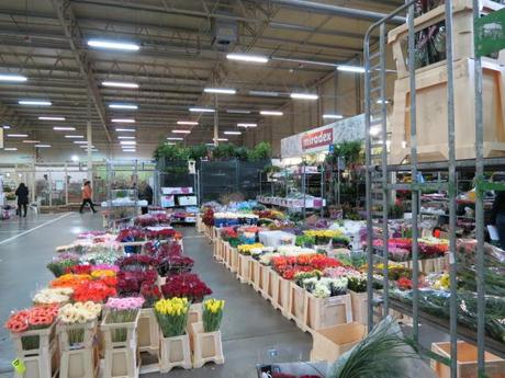 Flower Market Breslau