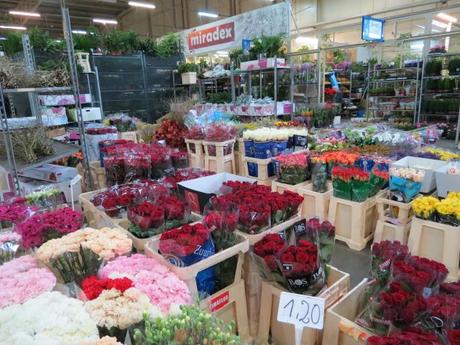 Flower Market Breslau