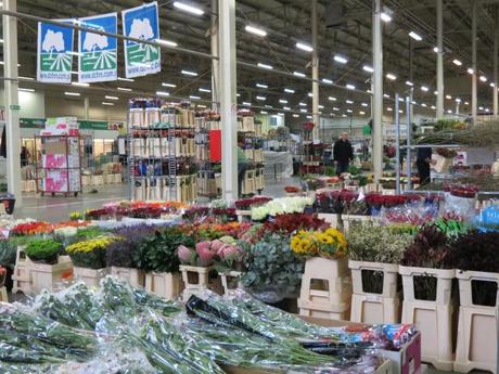 Flower Market Breslau