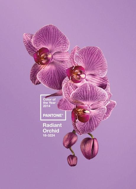 Pantone Radiant Orchid 