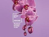 Pantone::Radiant Orchid 2014 Color Year