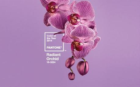 Pantone 2014 color of the year: Radiant Orchid