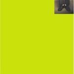 Throwback Thursday: Perks of Being a Wallflower by Stephen Chbosky