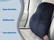 Choose Right Lumbar Support Pillow