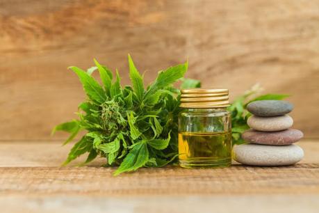 CBD Oil For Pain Relief