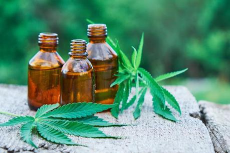 10 Facts You’ve Always Wondered About CBD