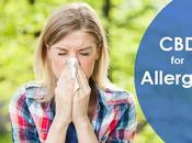 Help with Seasonal Allergies?