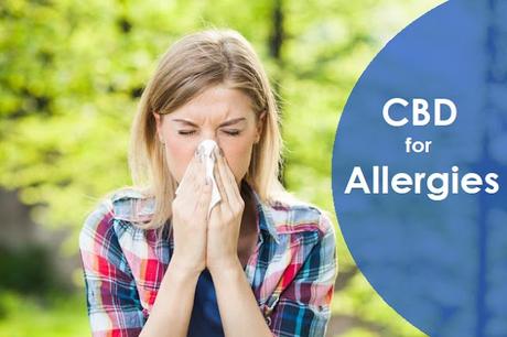 How Can CBD Help with Seasonal Allergies?