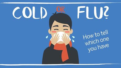 CBD Oil For Cold And Flu Treatment