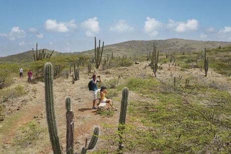 2 Main Reasons for Aruba's Favorable Water Temperature