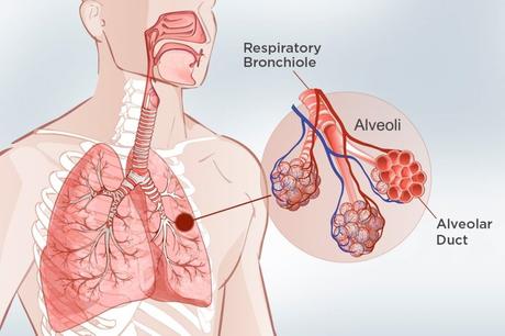  Lung Cancer Symptoms