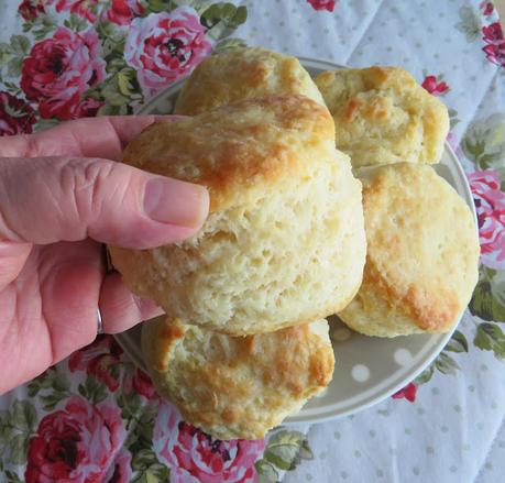 3 Ingredient Buttermilk Biscuits