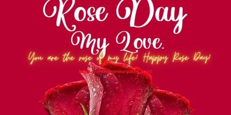 happy rose day 2023 status rose day date message