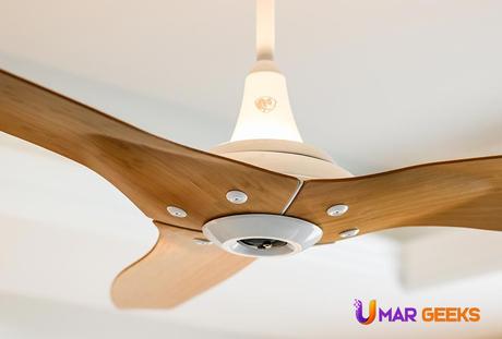 The Review of Haiku Smart Fan