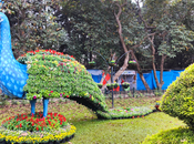 Lalbagh Biannual Flower Show Display Teeming with Life Beauty