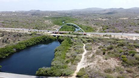 Spanish Lagoon’s Magical Mangrove Hiking Trail