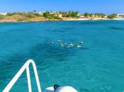 Aruba Snorkeling: Best Places Snorkeling