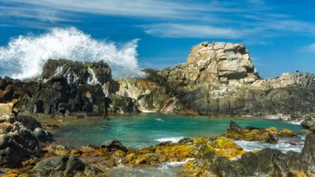 Natural Pool