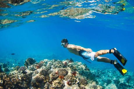 Know your snorkeling ability