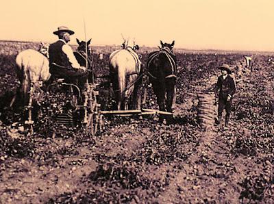 THE IDAHO POTATO MUSEUM: NO SMALL POTATOES, Guest Post by Caroline Hatton at The Intrepid Tourist