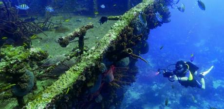 Harbor Tugboat Wreck