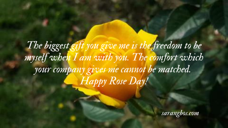 Rose Day Quotes, Wishes and Messages