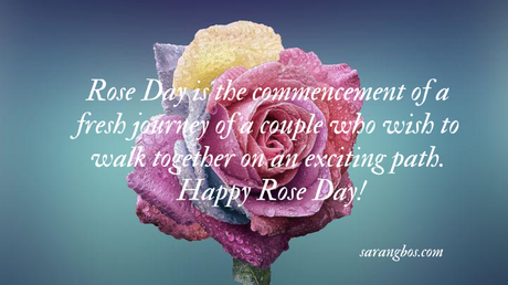 Rose Day Quotes, Wishes and Messages