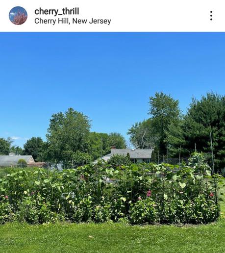 New Study Reveals The 10 Most Charming Cities in New Jersey to Visit New Study Reveals The 10 Most Charming Cities in New Jersey to Visit