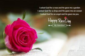Rose Day quotes,Wishes and messages