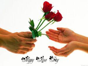 Rose Day quotes,Wishes and messages