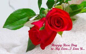 Rose Day quotes,Wishes and messages