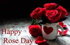 Rose Day quotes,Wishes and messages