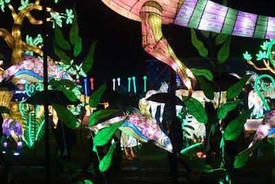 GLOWFARI AT THE OAKLAND ZOO: Panorama of Larger Than Life Animal Lanterns