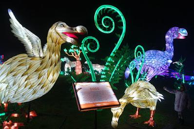 GLOWFARI AT THE OAKLAND ZOO: Panorama of Larger Than Life Animal Lanterns